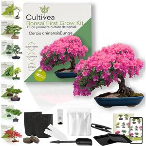 Kit de Bonsai Cercis Chinensis - Plante d'Intérieur Rose - Publicité Kit de Bonsai Cercis Chinensis - Plante d'Intérieur Rose - Publicité
