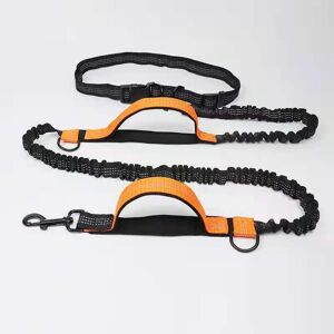 GENERIQUE - Ceinture Laisse Extensible Mains Libres pour Chien Réfléchissant GENERIQUE - Ceinture Laisse Extensible Mains Libres pour Chien Réfléchissant