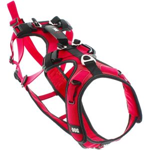 Harnais Chien I-Dog Confort Trek - Rouge L - Publicité Harnais Chien I-Dog Confort Trek - Rouge L - Publicité