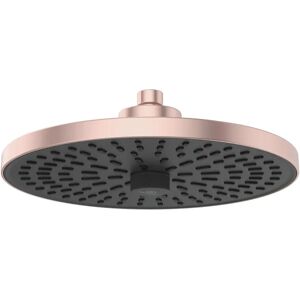 Cap de duș Ideal Standard BD581RO Roz 260mm 2 funcții Cap de duș Ideal Standard BD581RO Roz 260mm 2 funcții