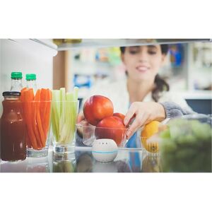 Shelly H&T Temperature and Humidity Sensor - Indoor Wireless Shelly H&T Temperature and Humidity Sensor - Indoor Wireless