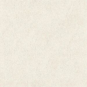 Rasch Papier Peint Vinyle - Uni Beige - Papier Peint Vinyle - Publicité Rasch Papier Peint Vinyle - Uni Beige - Papier Peint Vinyle - Publicité