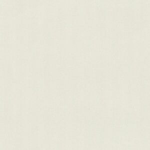 Rasch Witte Naadloze Vliesbehang - Wandbekleding Rasch Witte Naadloze Vliesbehang - Wandbekleding