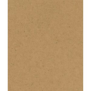 Rasch Concrete Wandtapete - Industrie-Design Beige 53m² Rasch Concrete Wandtapete - Industrie-Design Beige 53m²