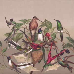 Rasch Modell 543575 - Dschungel Botanisch Wandbild Rasch Modell 543575 - Dschungel Botanisch Wandbild