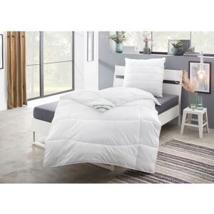 F.A.N. Komfort Plus Mikrofaserbettdecke - Ganzjahres F.A.N. Komfort Plus Mikrofaserbettdecke - Ganzjahres