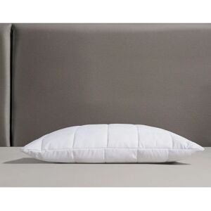 F.A.N. Komfort Plus Mikrofaserkissen - Allergikerfreundlich, Stabil, Made in Germany F.A.N. Komfort Plus Mikrofaserkissen - Allergikerfreundlich, Stabil, Made in Germany