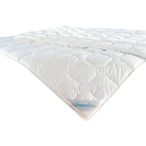 FAN Wash Cotton Baumwollbettdecke - 155x220cm - Leicht & Allergiker FAN Wash Cotton Baumwollbettdecke - 155x220cm - Leicht & Allergiker