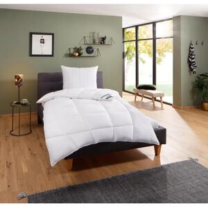 F.A.N. Komfort Plus XXL Warm Duo Steppbett 200x200cm - Bettdecken F.A.N. Komfort Plus XXL Warm Duo Steppbett 200x200cm - Bettdecken