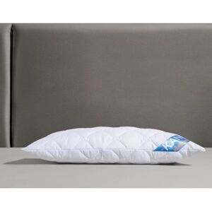 F.A.N. Mikrofaser-Kopfkissen - 40x80cm & 80x80cm - Allergikerfreundlich F.A.N. Mikrofaser-Kopfkissen - 40x80cm & 80x80cm - Allergikerfreundlich
