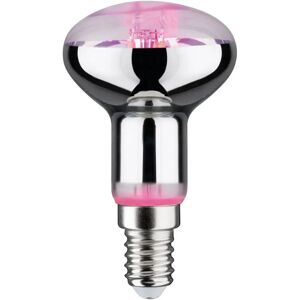 Paulmann LED Grow Green Pflanzenlampe - E14 1300K 4W Paulmann LED Grow Green Pflanzenlampe - E14 1300K 4W