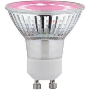 Paulmann Grow Green Edition Plant Grow Light - LED Grow Light Paulmann Grow Green Edition Plant Grow Light - LED Grow Light