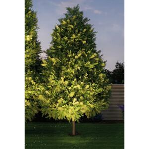 Paulmann Outdoor LED Floor Light - Weatherproof, Adjustable, 3000K Paulmann Outdoor LED Floor Light - Weatherproof, Adjustable, 3000K