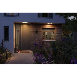 Paulmann Ceiling & Wall Light - Insect-Friendly 16W LED Black Paulmann Ceiling & Wall Light - Insect-Friendly 16W LED Black