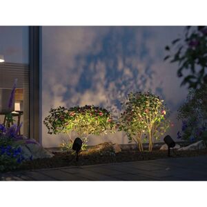 Paulmann Shira Outdoor LED Floor Light - Weatherproof RGBW Spotlight Paulmann Shira Outdoor LED Floor Light - Weatherproof RGBW Spotlight