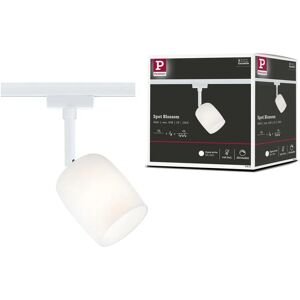 Paulmann URail Spot Blossom - G9 Dimmable Métal Verre 10W Paulmann URail Spot Blossom - G9 Dimmable Métal Verre 10W
