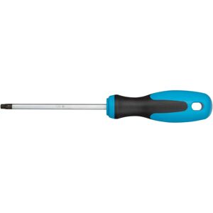 Tournevis Hazet 810-T30 - Profil TORX intérieur - 230mm Tournevis Hazet 810-T30 - Profil TORX intérieur - 230mm