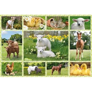 Puzzle Schmidt Spiele 56194 - 60 Pièces Puzzle Schmidt Spiele 56194 - 60 Pièces