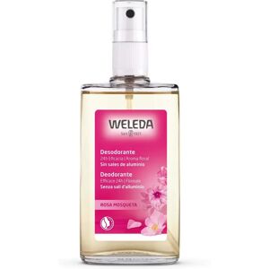 Weleda Wild Rose Deodorant - Natural 24h Floral Fragrance Vegan Weleda Wild Rose Deodorant - Natural 24h Floral Fragrance Vegan