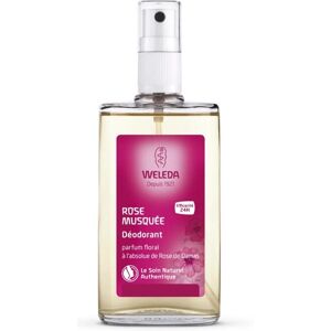 Deodorant Divoká Růže Weleda - Přírodní květinová vůně 24h Veganské Deodorant Divoká Růže Weleda - Přírodní květinová vůně 24h Veganské