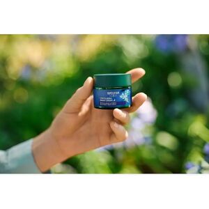 Weleda Blue Gentian & Edelweiss Contouring Night Cream - Night Cream Weleda Blue Gentian & Edelweiss Contouring Night Cream - Night Cream