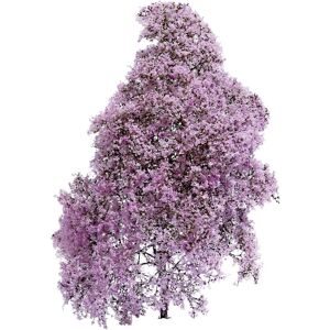 Busch 3587 Forårslilak Blomstrende - Havebusk Busch 3587 Forårslilak Blomstrende - Havebusk