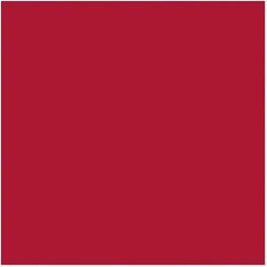 Creativ Company Red Cardboard - 270 g/m², 50x70cm, 100 sheets - Cardboard Creativ Company Red Cardboard - 270 g/m², 50x70cm, 100 sheets - Cardboard