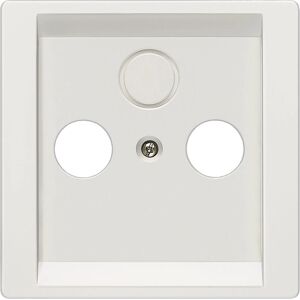 Siemens 5TG13381 Platin-Wandplatte - Schalterabdeckung & RF/TV/SAT Siemens 5TG13381 Platin-Wandplatte - Schalterabdeckung & RF/TV/SAT