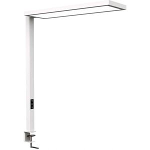 MAUL MAULsenja LED-Tischlampe - Dimmbare Beleuchtung & Sensor MAUL MAULsenja LED-Tischlampe - Dimmbare Beleuchtung & Sensor
