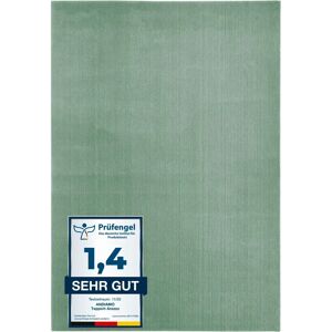 ANDIAMO - Arezzo - 80x150 cm - 16 mm - Carpet ANDIAMO - Arezzo - 80x150 cm - 16 mm - Carpet