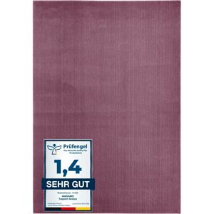 ANDIAMO Arezzo Teppich - Weich, Waschbar, 120x170cm ANDIAMO Arezzo Teppich - Weich, Waschbar, 120x170cm