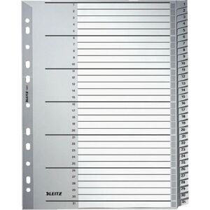 Leitz 12810000 Organiseur A4 Gris avec 31 Diviseurs Leitz 12810000 Organiseur A4 Gris avec 31 Diviseurs