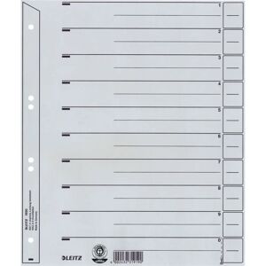 Leitz 16500085 Tab Index - Intercalaires A4, Gris Leitz 16500085 Tab Index - Intercalaires A4, Gris
