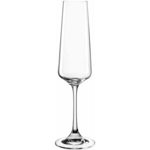 Leonardo Paladino 6 Stück 220 ml Glas Champagnerglas - Champagnerglas Leonardo Paladino 6 Stück 220 ml Glas Champagnerglas - Champagnerglas