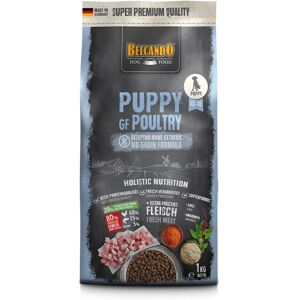 Belcando Puppy GF Poultry - Nourriture pour chiots sans céréales - Publicité Belcando Puppy GF Poultry - Nourriture pour chiots sans céréales - Publicité