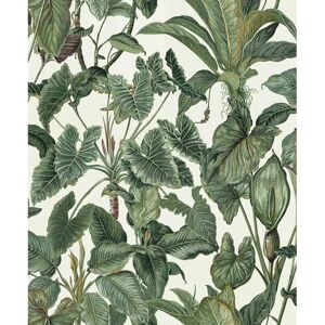 Erismann Paradiso Tropical Leaves Pattern Wallpaper - Wallpaper Erismann Paradiso Tropical Leaves Pattern Wallpaper - Wallpaper