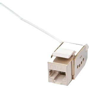 Module Keystone Lindy 25998 - RJ-45 CAT 6 Module Keystone Lindy 25998 - RJ-45 CAT 6
