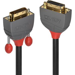 Câble DVI Lindy - 2m Dual Link - Noir Câble DVI Lindy - 2m Dual Link - Noir