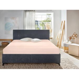 Primera Rosen Jersey Spannbettlaken Primera Rosen Jersey Spannbettlaken
