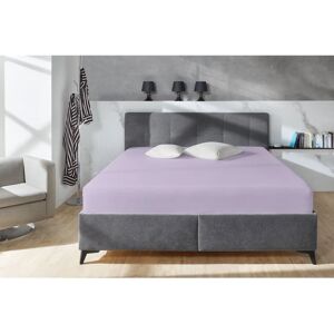 Primera Elasthan-Fitted Sheet - Spannbettlaken Primera Elasthan-Fitted Sheet - Spannbettlaken