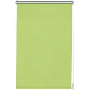 Gardinia Modell EASYFIX Rollo Thermo - Rullgardiner Gardinia Modell EASYFIX Rollo Thermo - Rullgardiner