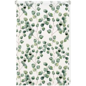 Gardinia Modèle Digiprint - Stores à Motif Floral - Publicité Gardinia Modèle Digiprint - Stores à Motif Floral - Publicité