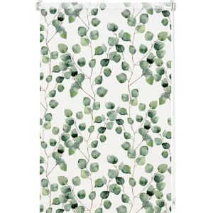 GARDINIA Easyfix Rollo Digiprint - 90cm x 150cm - Volets - Publicité GARDINIA Easyfix Rollo Digiprint - 90cm x 150cm - Volets - Publicité