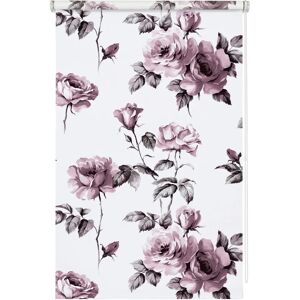 Wohnidee-Kollektion Rollo Tageslicht - Rollos - 45cm x 150cm Wohnidee-Kollektion Rollo Tageslicht - Rollos - 45cm x 150cm