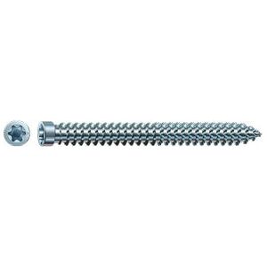 Spax Stainless Steel Deck Screw - Cylinder Head 5x70mm - 100 pcs Spax Stainless Steel Deck Screw - Cylinder Head 5x70mm - 100 pcs