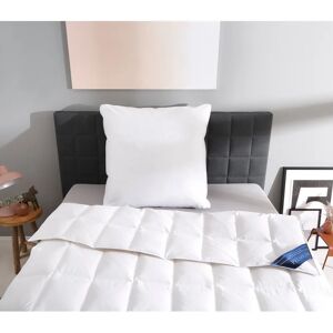 Otto Keller Bella Gänsedaunenbettdecke - Premium hypoallergene Bettwäsche Otto Keller Bella Gänsedaunenbettdecke - Premium hypoallergene Bettwäsche