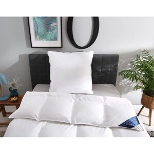 Otto Keller Bella Gänsedaunenbettdecke - Extra Warm, Weiß Otto Keller Bella Gänsedaunenbettdecke - Extra Warm, Weiß