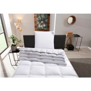 Otto Keller Starlight Daunendecke - Für alle Jahreszeiten Otto Keller Starlight Daunendecke - Für alle Jahreszeiten