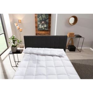 Otto Keller Starlight Daunendecke - Für alle Jahreszeiten, 200x200cm Otto Keller Starlight Daunendecke - Für alle Jahreszeiten, 200x200cm