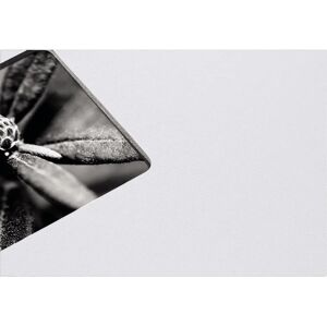 Hama Fine Art Photo Album - 100 Sheets - 10x15 cm Hama Fine Art Photo Album - 100 Sheets - 10x15 cm
